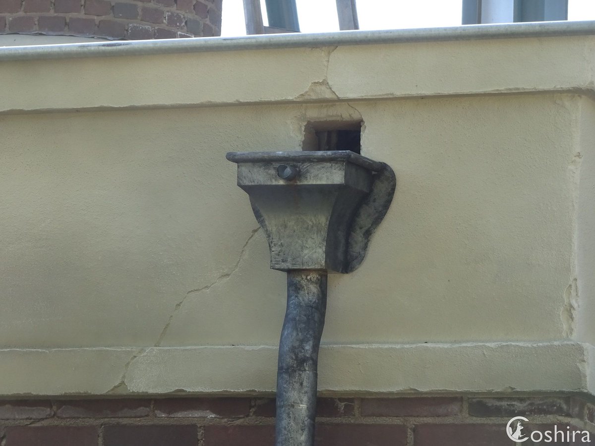 Coshira_'s tweet image. #Hooghmoed 📷️ 
#Baron1898 #Efteling