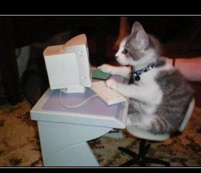 Val Ackerman ⚔️ tweet media