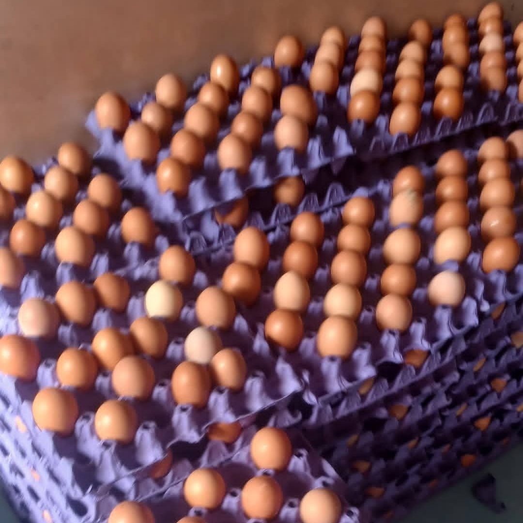 Salima ⭐⭐ tweet media