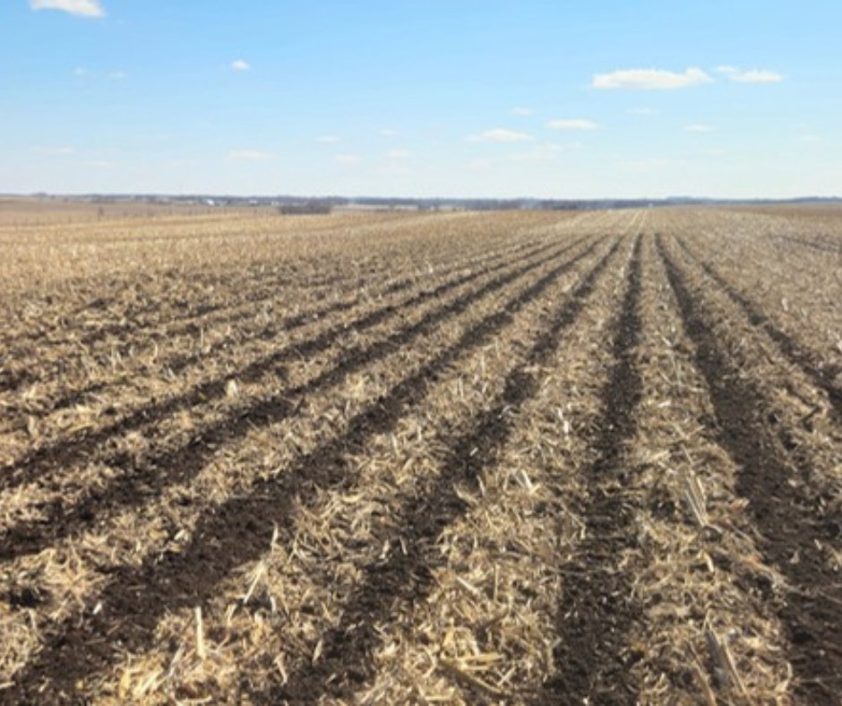 soilwarrior's tweet image. #SoilWarrior strips delivering one-pass efficiency and ready for planting.
#StripTill #SoilHealth