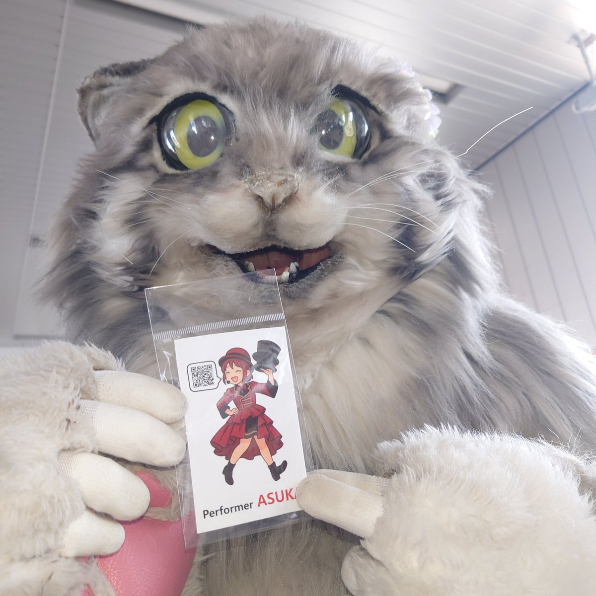 ンヤダグ(雷撃猫's桐緒)🍴 tweet media