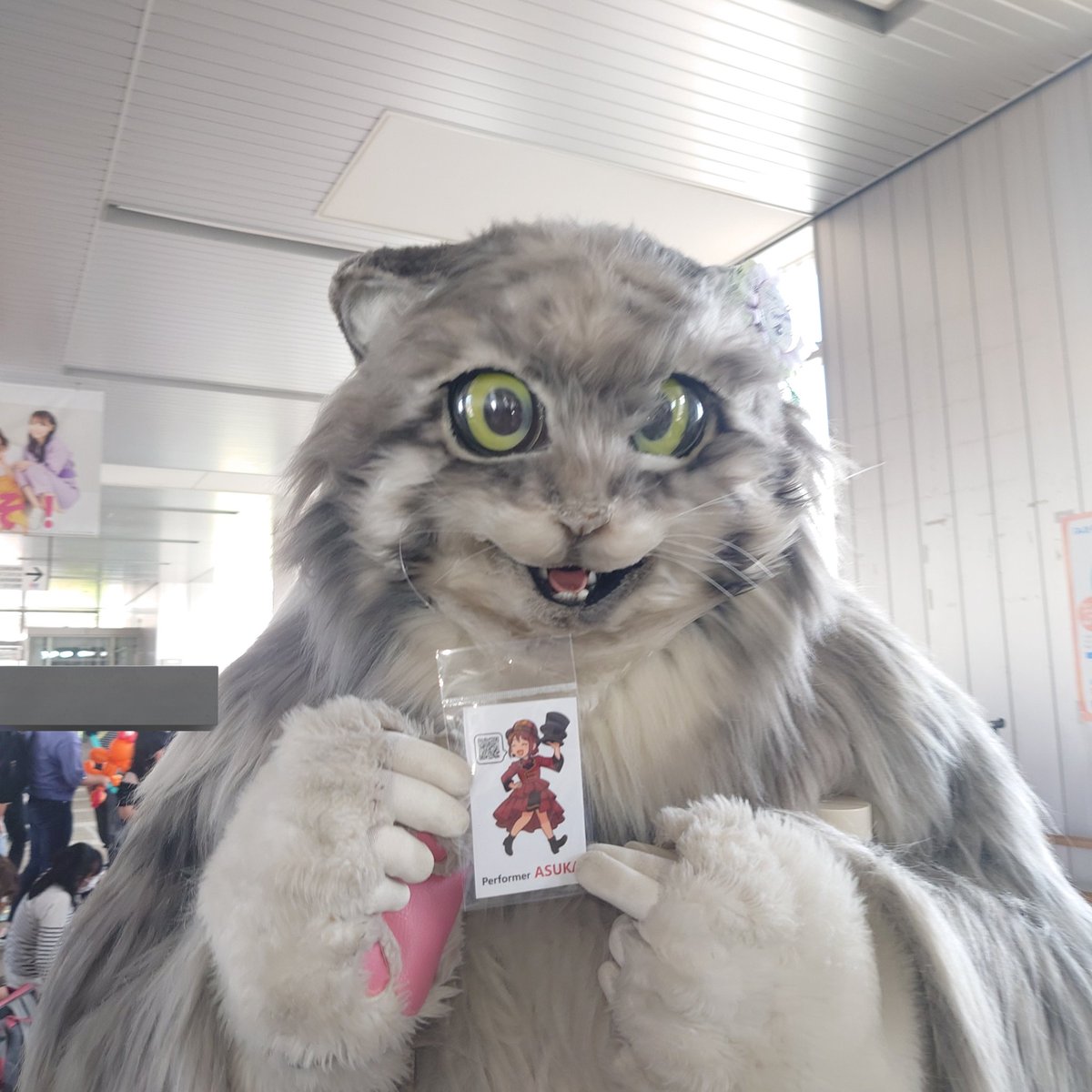 ンヤダグ(雷撃猫's桐緒)🍴 tweet media