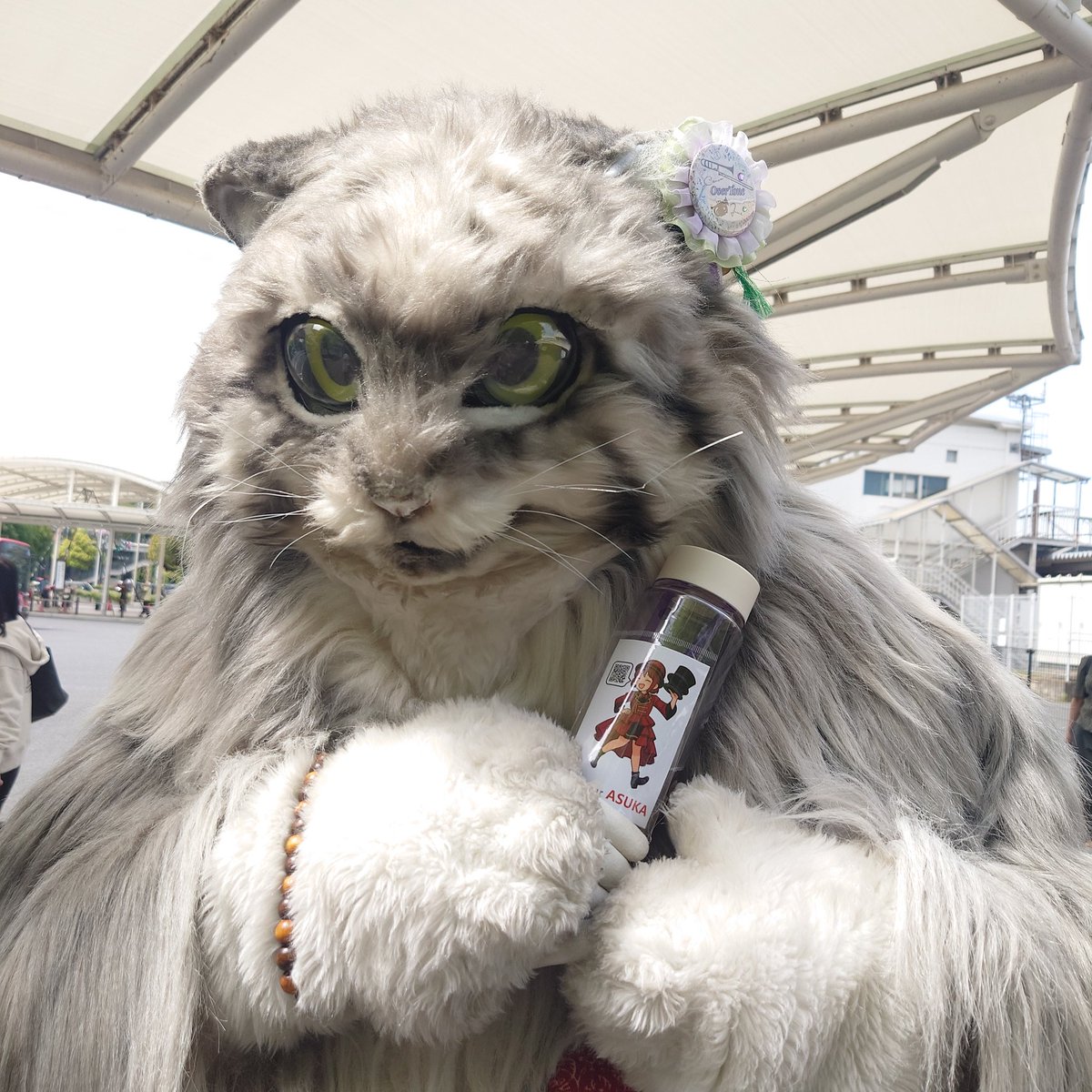 多治見大道芸見本市
ASUKAさん見に。
<a href="/asukask1/">パフォーマーASUKA🎈</a> 
目視ですら逆光で撮影無理（笑）
そんでも華やかに見えるの不思議。
楽しかったよ！
ステッカー頂いて喜ぶ猫。
無地透明のドリンク入れに。
#マヌルネコの雷流 <a href="/lailcats/">雷流</a> #山田三毛猫ファミリー #マヌルネコ