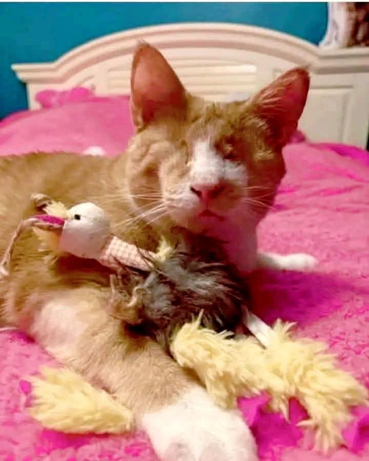 Today is my birthday, I know I'm sick but no one ever blessed me🥺😢