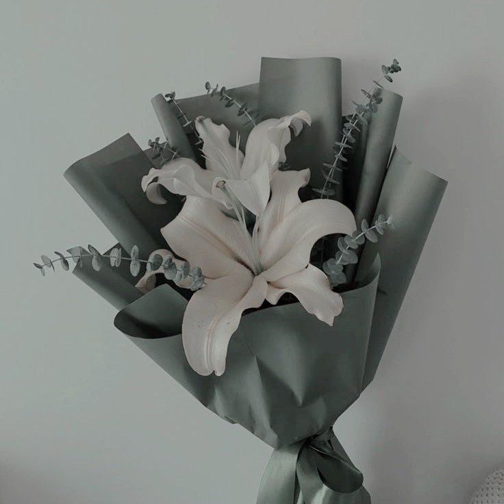 EMPTYHOVSE_'s tweet photo. ⠀⠀⠀⠀
⠀⠀⠀⠀AU! 📖✨ @BOOTYHVPNOTIC
⠀⠀⠀⠀⠀   𝐅𝐄𝐋𝐈𝐙 𝐃Ɩ́𝐀 𝐃𝐄𝐋 𝐋𝐈𝐁𝐑𝐎
⠀⠀⠀⠀ 
⠀⠀⠀⠀ ⠀⠀⠀⠀ ✉️ 23/04 ✉️
⠀⠀⠀⠀ https://t.co/evdsU1uPzV