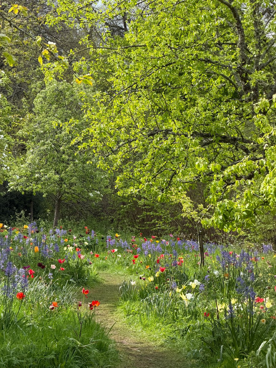 Purely Green tweet media