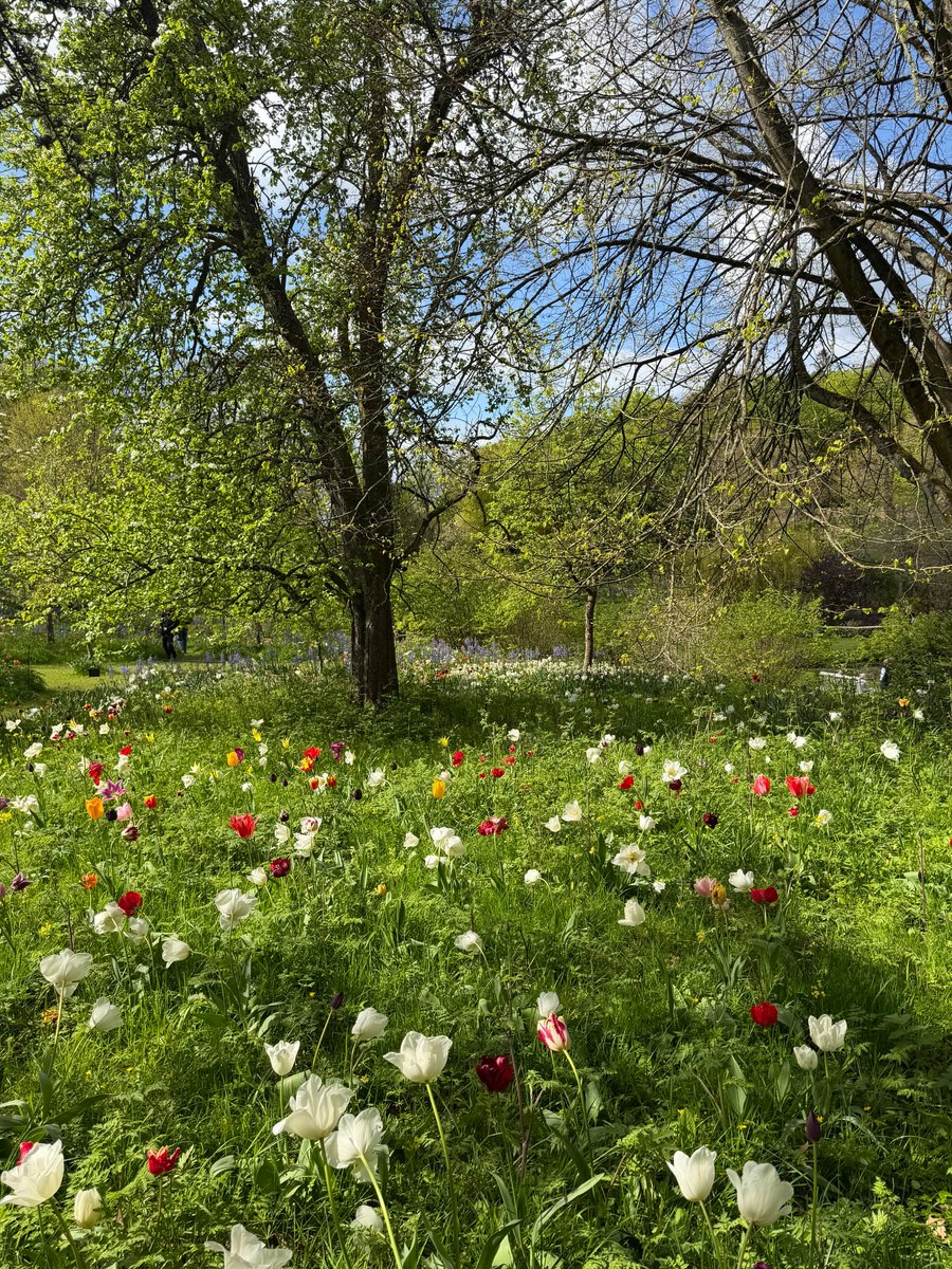 Purely Green tweet media