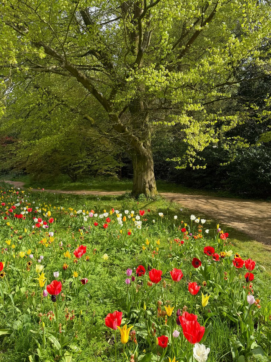 Purely Green tweet media