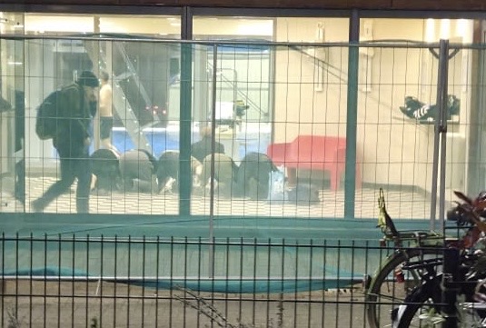 Geert Dales tweet media