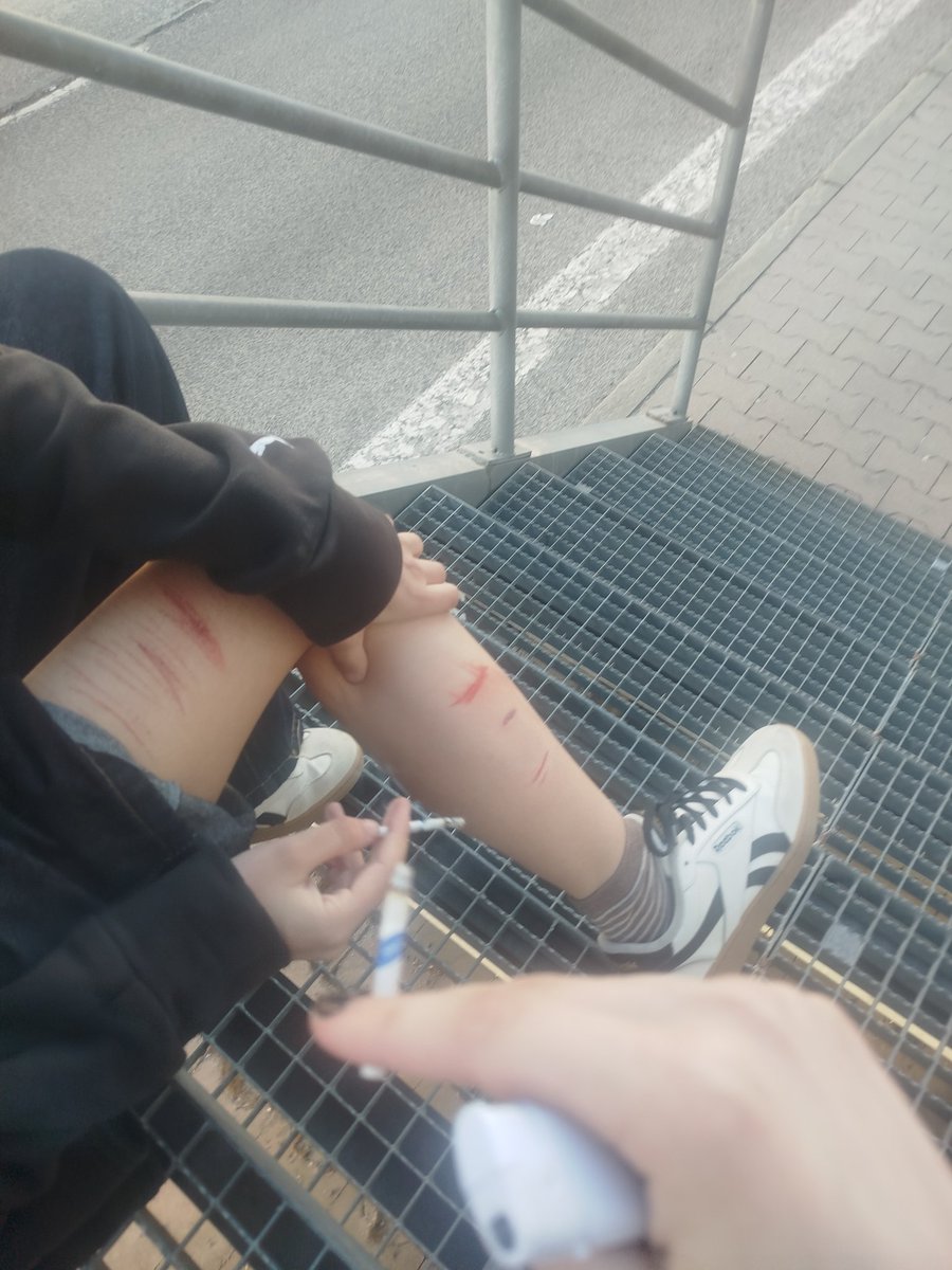 ⋆. 𐙚˚࿔ ⱽⁱᵒˡᵉᵗ ᵃⁿᵈ ᴱᶻʳᵃ ᵒᶠ ˢᴴᴱᴰᵀᵂᵀ 𝜗𝜚˚⋆ tweet media