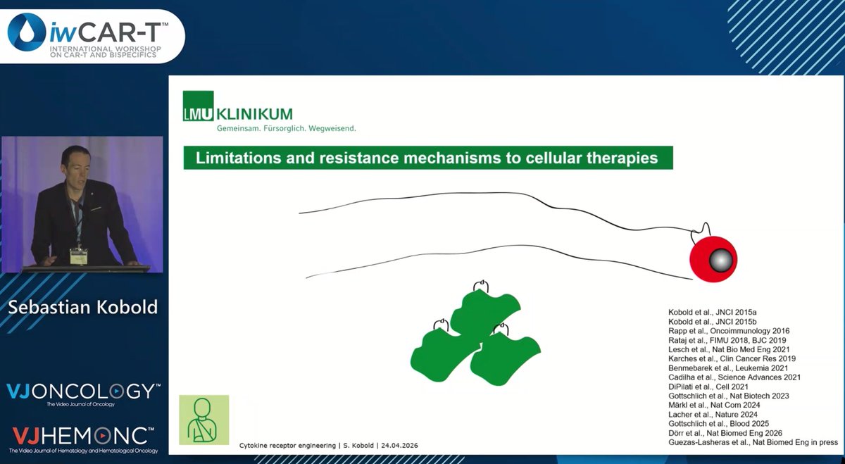 VJOncology's tweet photo. Cytokine receptor engineering is opening new doors for CAR-T cell potency 🔬 Sebastian Kobold at #iwCART26 on how rewriting the signalling landscape could supercharge the next generation of cell therapies

#iwCART https://t.co/wT4GCNhgkN