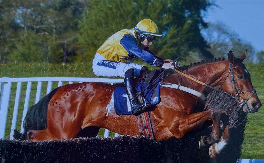 jamiesnowden's tweet photo. Delighted that our last runner of the season is #winner no 86. As #Torneo deservedly gets his head in front @Chepstow_Racing under @GavinSheehan92 #TopEffort #TopTeam @Alexwalters89 @TMBloodstock @BetVictor @REDMILLSHorse https://t.co/FImpXJwboa