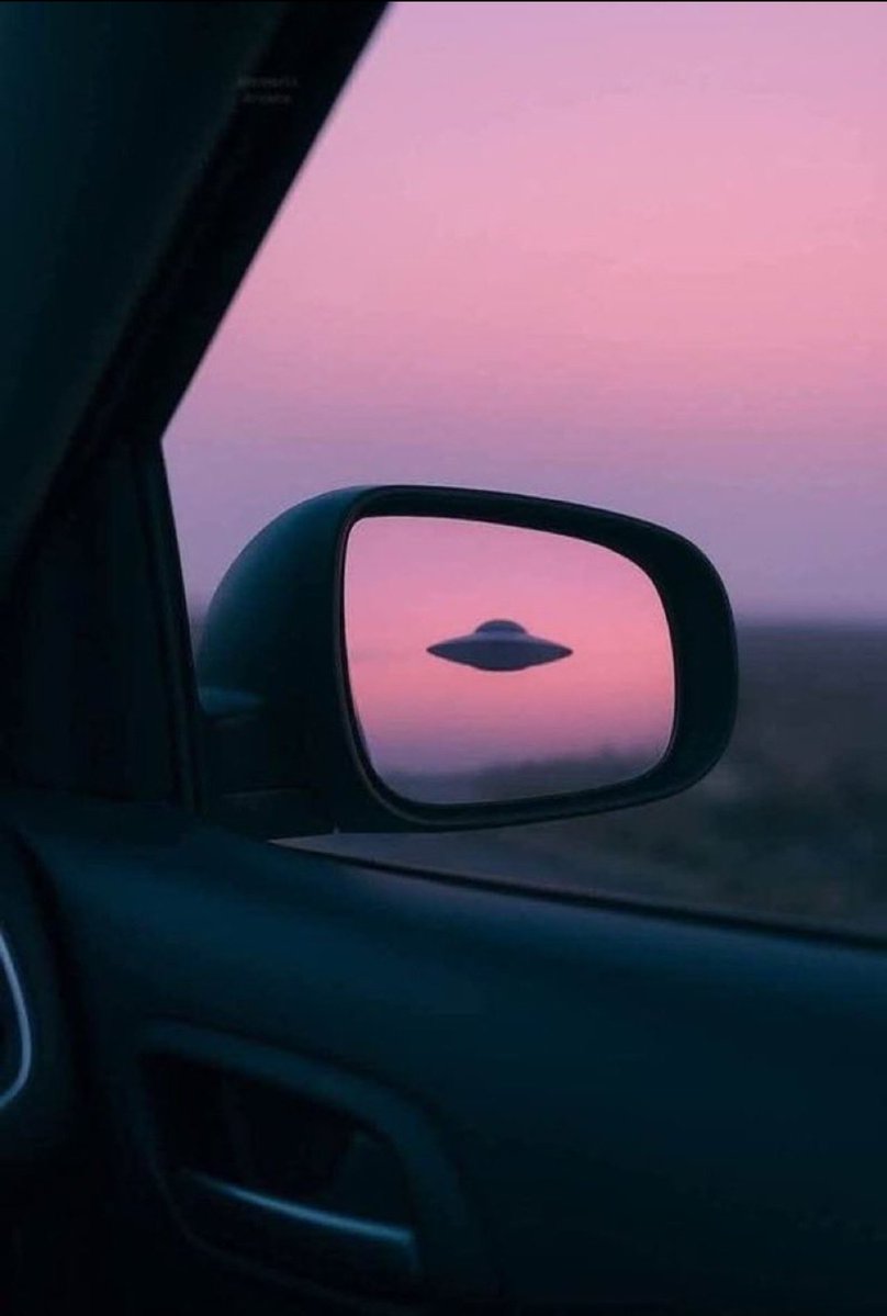 $PORK 🐽 soon will defy Gravity. $PORK 🐽 to Billions.

Don't believe me ? Wait and watch.