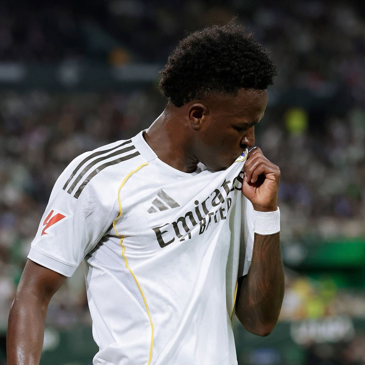 Madrid Zone tweet media