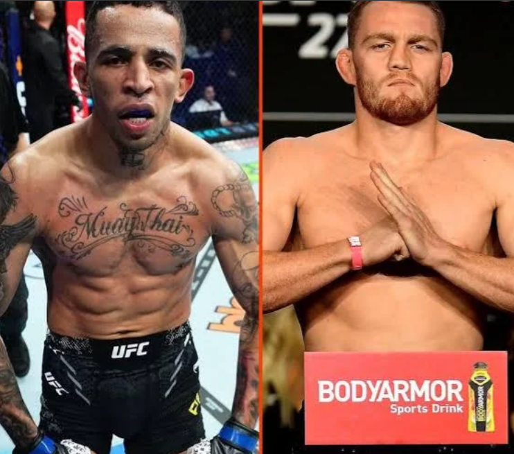 MMA FIXED tweet media