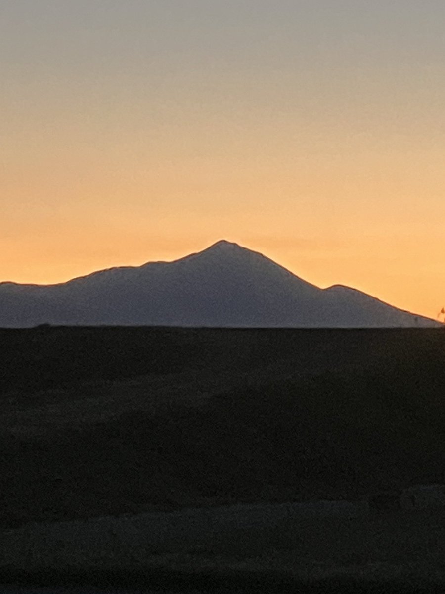 ゆべんちーと tweet media