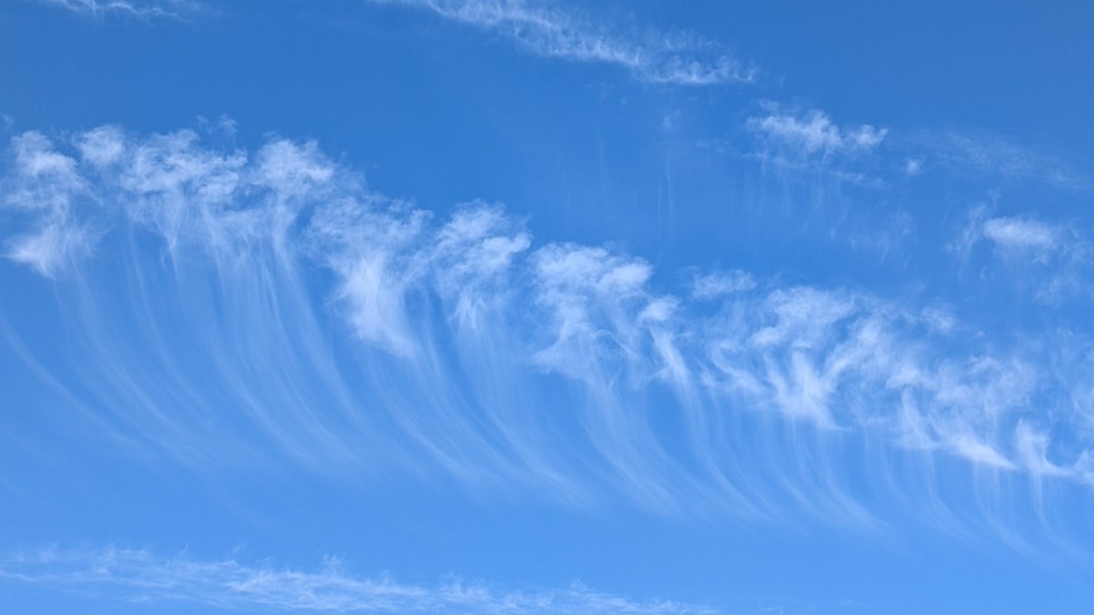 pacrabtree's tweet image. What a fantastic day in North Cumbria with a high of just over 19°c after a low of +0.4c this morning. Approaching top 5 in largest diurnal range stats!! #Brampton #Cumbria