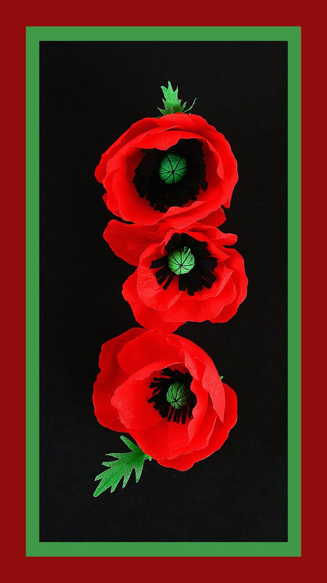 Catholic_Priest's tweet photo. "We will remember them - Lest we forget." - #OdeofRemembrance
๐ท Anzac Day Poppies/ยฉ Detry26 via #GettyImages and #CanvaPro. #Catholic_Priest #CatholicPriestMedia #AnzacDay #AnzacDay2026 https://t.co/XxtF51Plwp