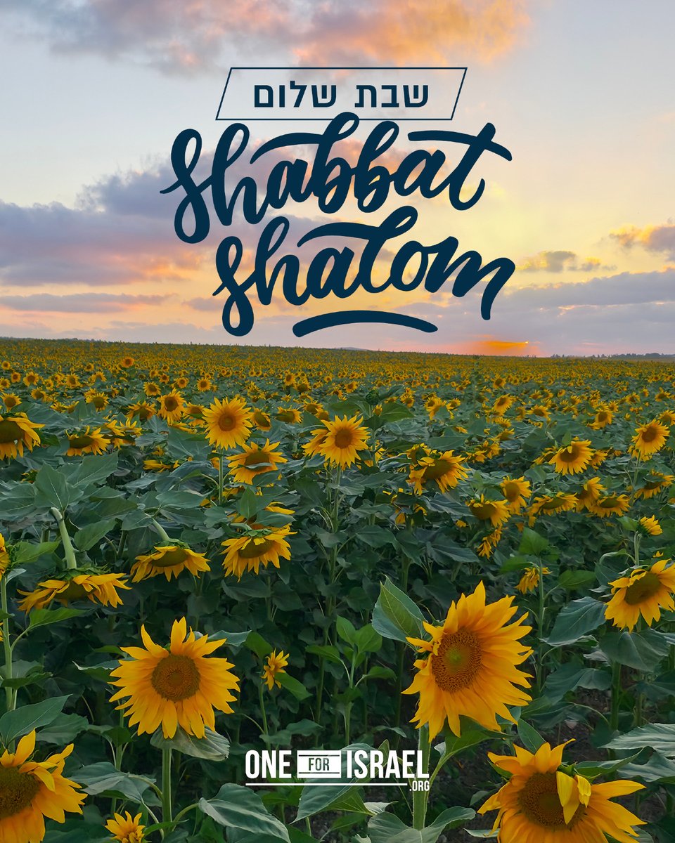 ONE FOR ISRAEL Ministry tweet media