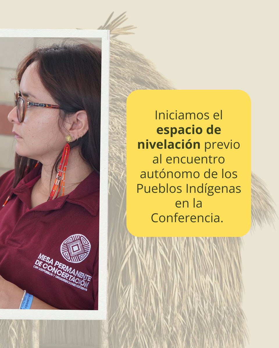 Mesa Permanente de Concertación Indígena - MPC tweet media