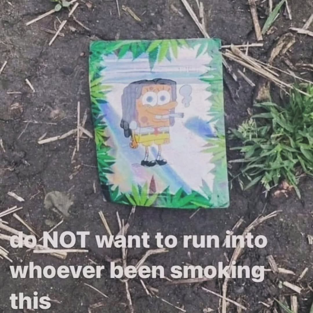 ja-hamon 🪓 tweet media