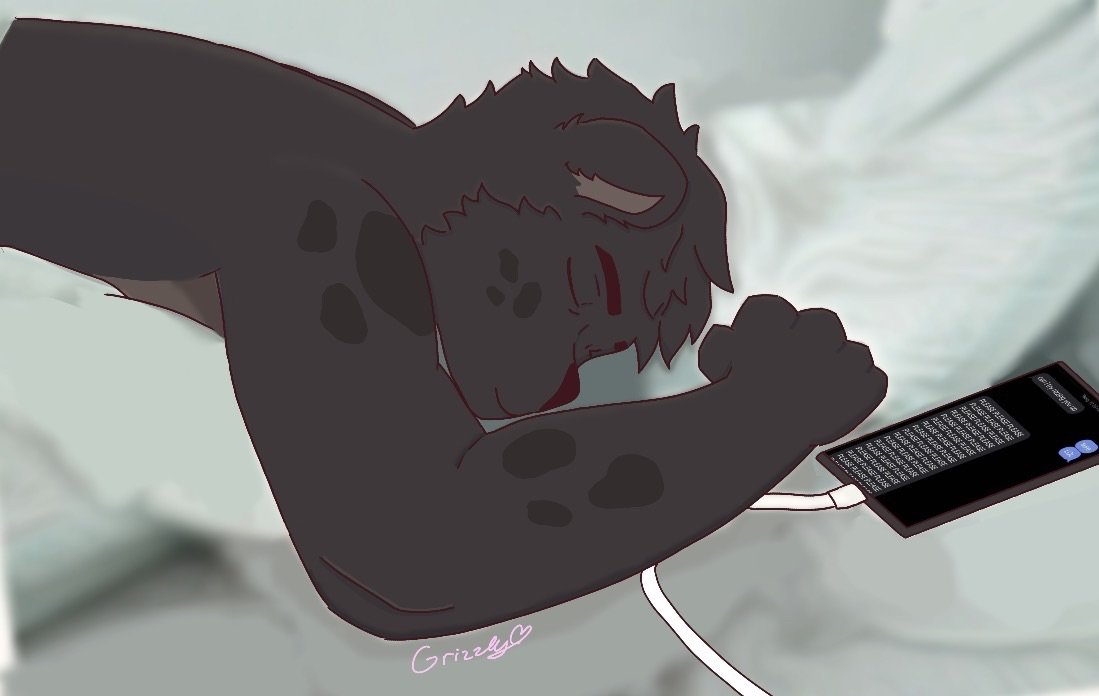 Grizzly₊˚⋆♡ tweet media