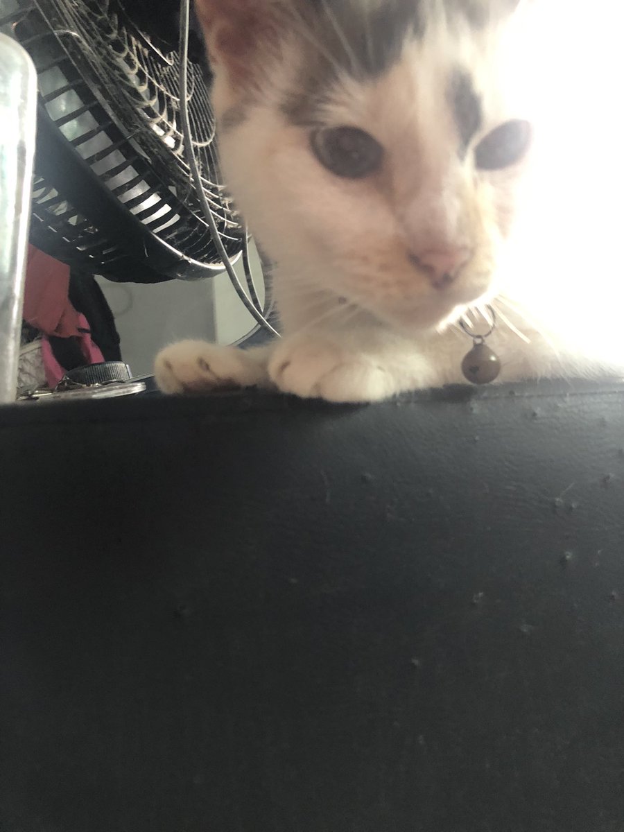 maria pérola no mundinho dela é meu tudo