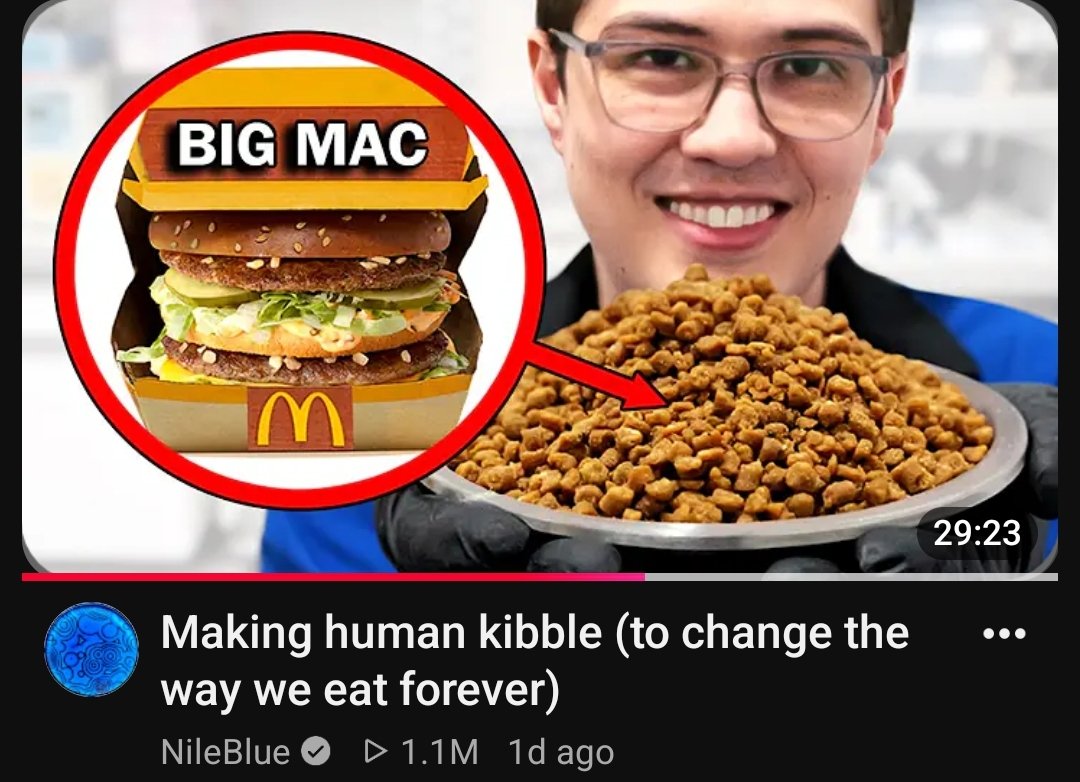 Explaining petplay to an american: Imagine a burger