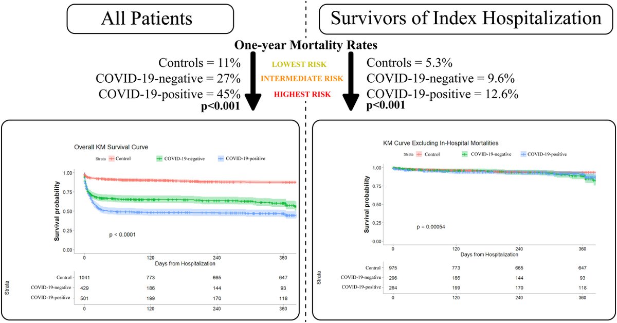 MyJSCAI's tweet image. 🗣️Long-Term Mortality After #STEMI &amp;amp; #COVID19
with @dehghani_payam 

New #NACMI registry data show excess mortality risk after COVID‑19–associated STEMI persists beyond hospitalization, with a clear long‑term risk gradient. 

Read the #JSCAI study featured at #SCAI2026.

🔗