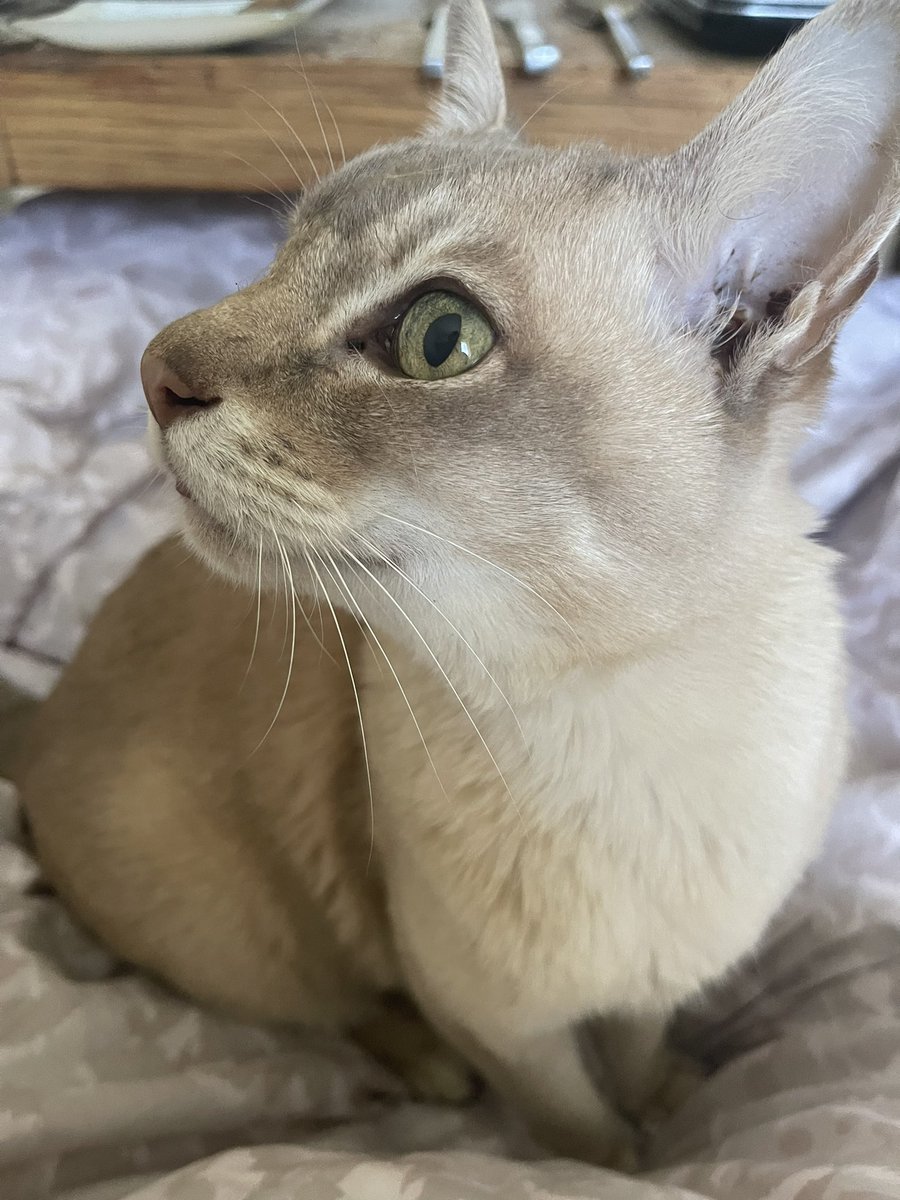 Tim Guy #FBPE 3.5% tweet media