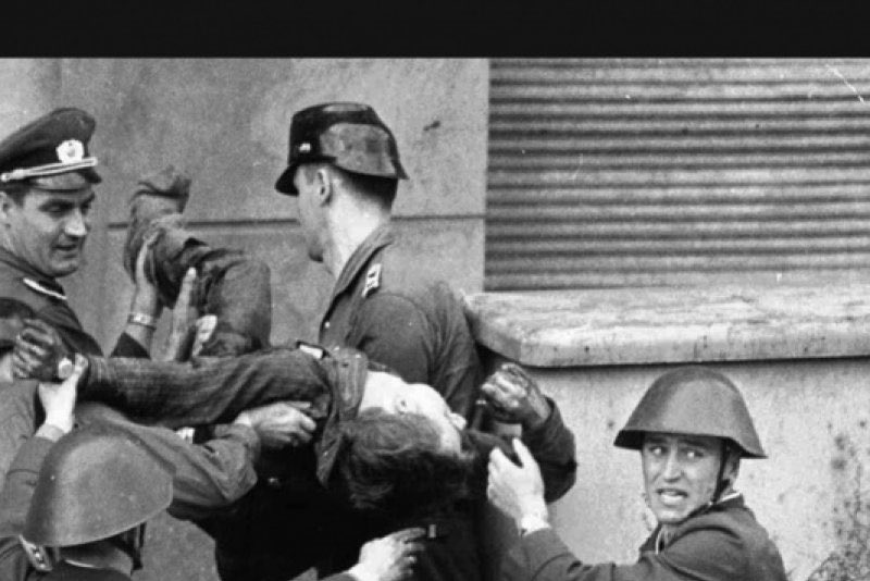 Legolas 🇮🇷 tweet media