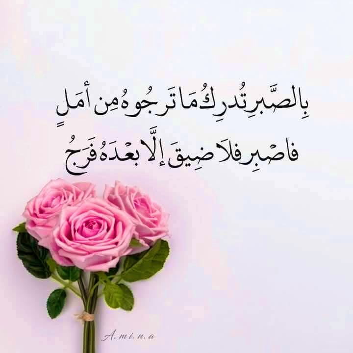 omhazem1956's tweet photo. لا تحزن عندما تقسو عليك الحياة، 
فهي قاسية عليك فقط لأن هناك درسًا لم تتعلمه بعد. 
لا تيأس، 
فربما تكون لحظة اليأس هي لحظة الوصول..!!
. https://t.co/gGBmhvte7L