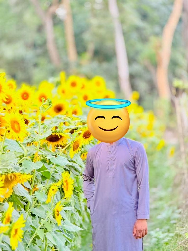 Sakib Hossain tweet media