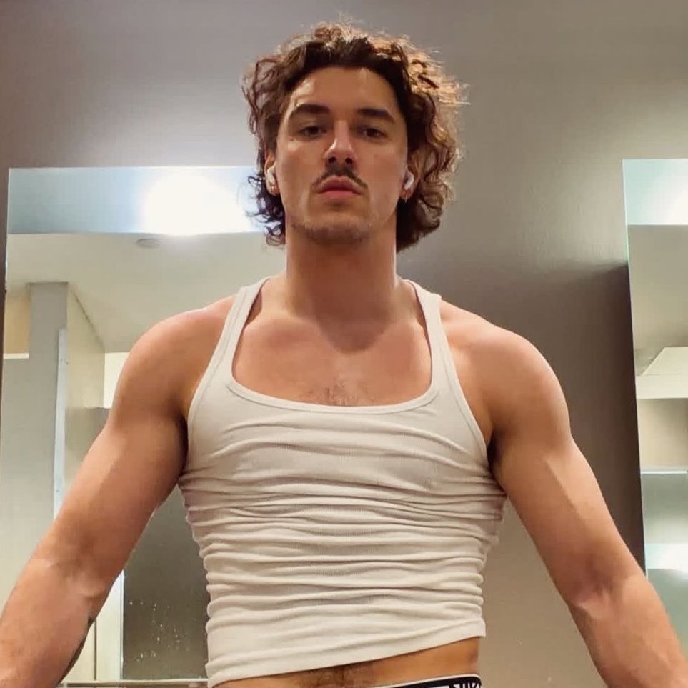 acervo belmont cameli tweet media