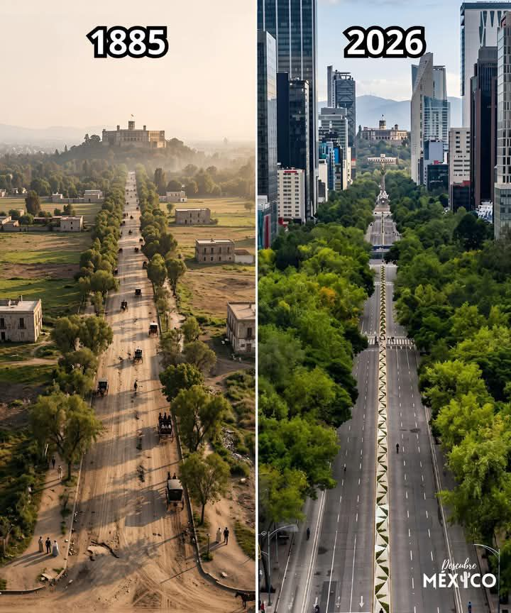 México en Imágenes tweet media