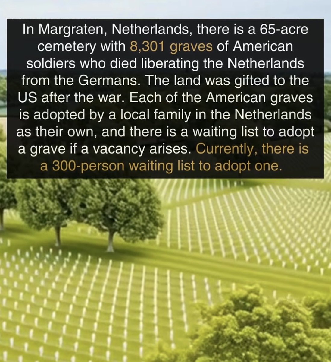 SoldiersWhisper's tweet image. Many thanks to the Dutch for caring for the American graves at Margraten. They have never forgotten the liberation of Holland.
🕊️ #WWII #History #RIP 🕊️