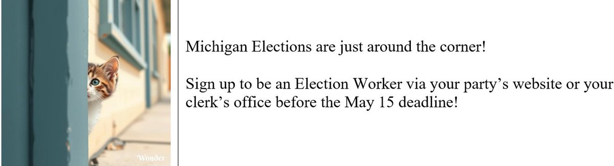 Election Integrity Force tweet media