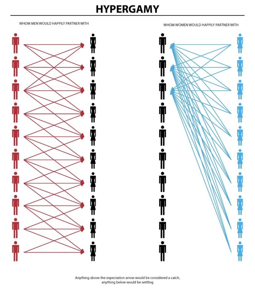 I'll have a cheeseburger tweet media