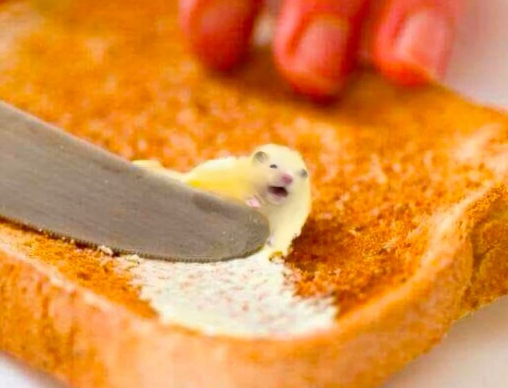 서른도 죄챋감 가지지말라고해주세여 아씨