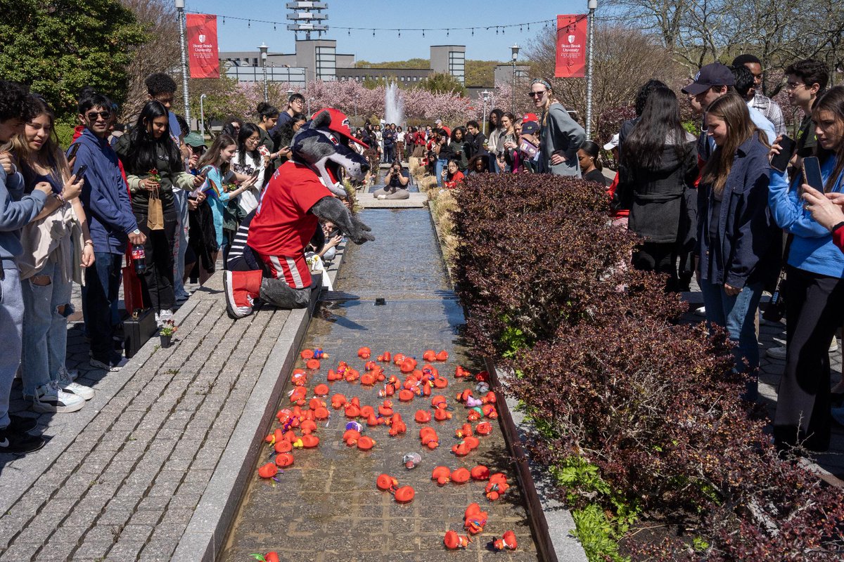 Stony Brook University tweet media