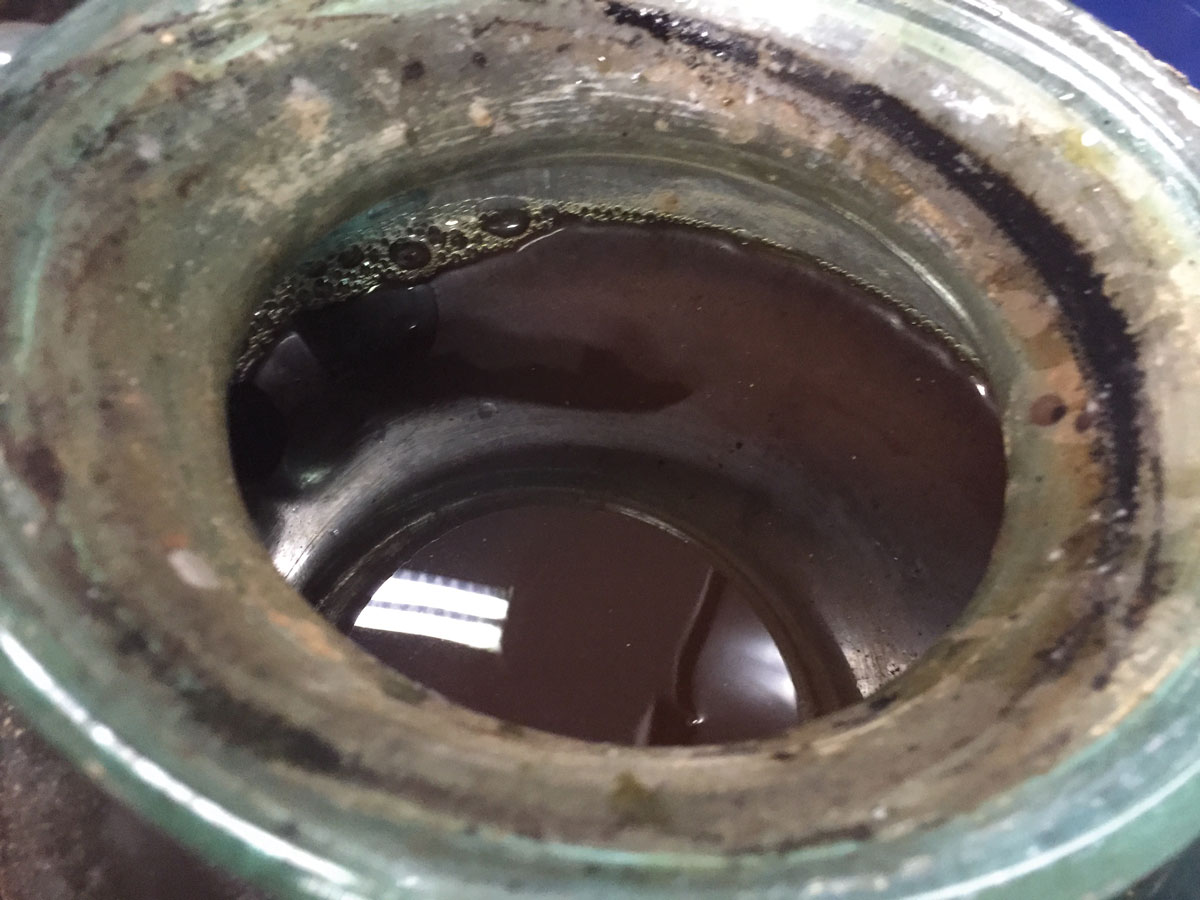 Archaeology Magazine tweet media