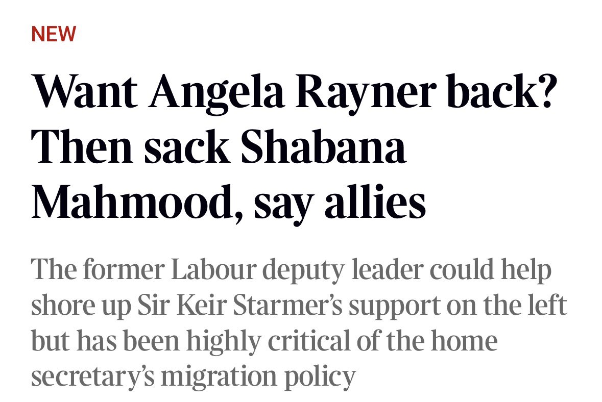 Bella Wallersteiner 🇺🇦 tweet media