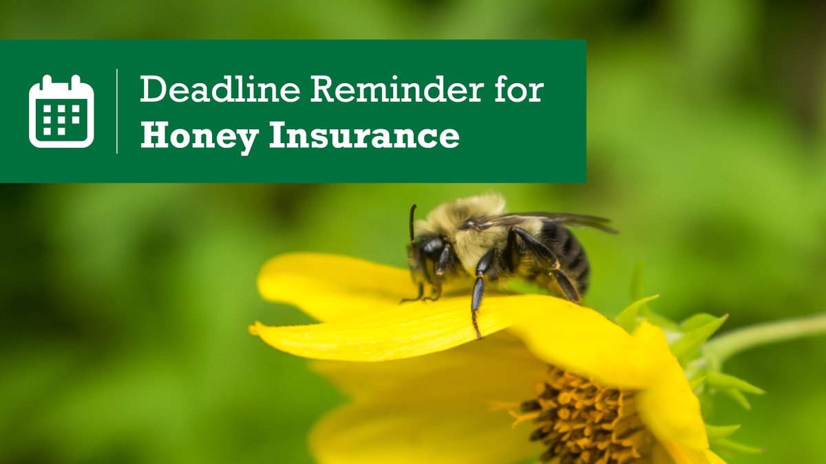 Agriculture Financial Services tweet media