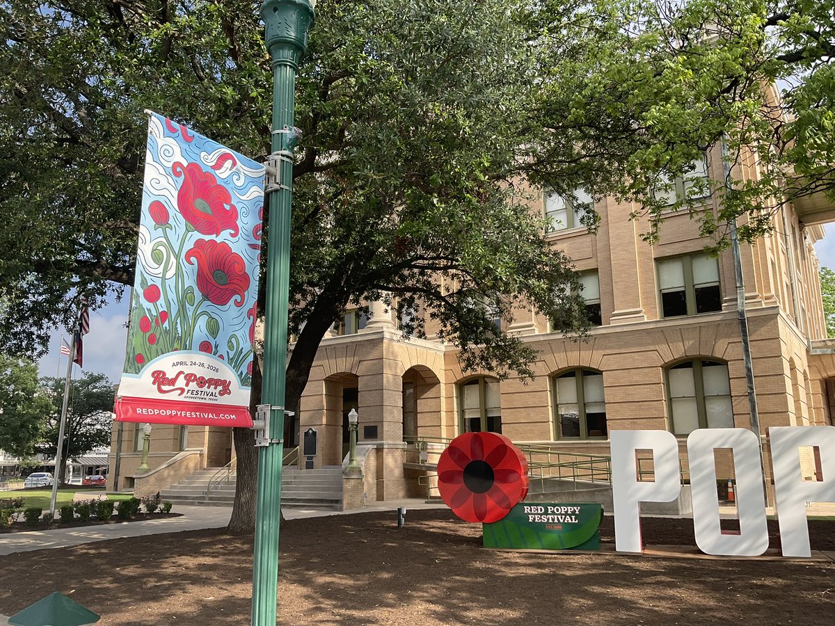 David Shiffer tweet media