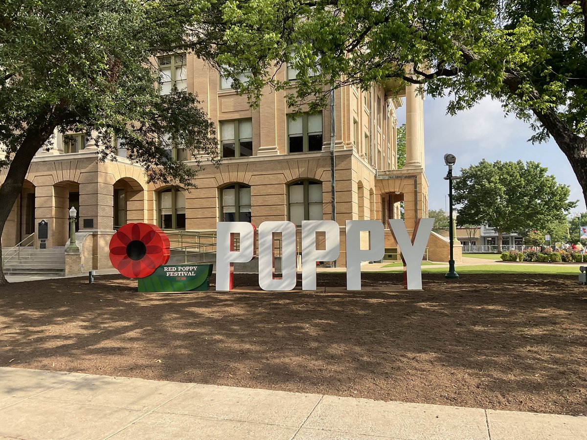 David Shiffer tweet media