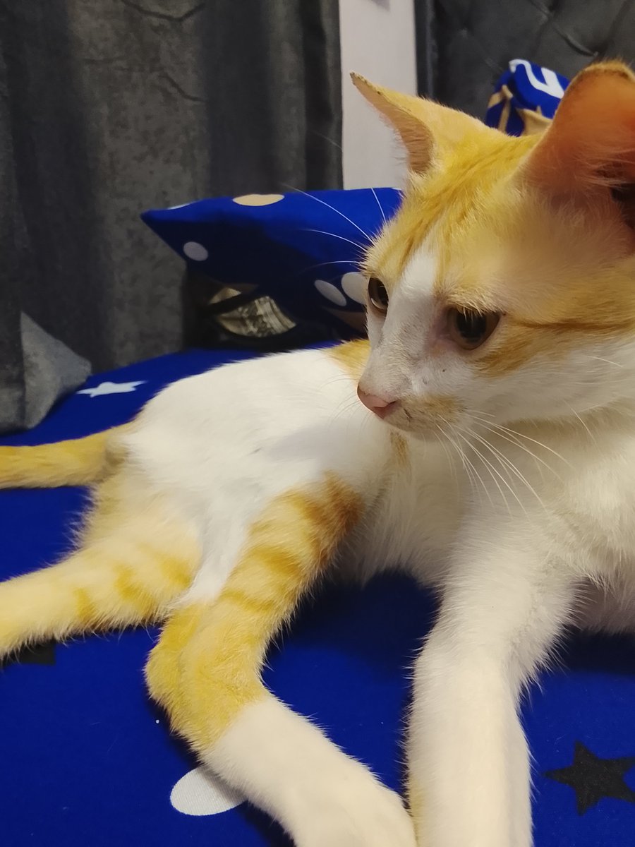 Aliyah🌟 tweet media