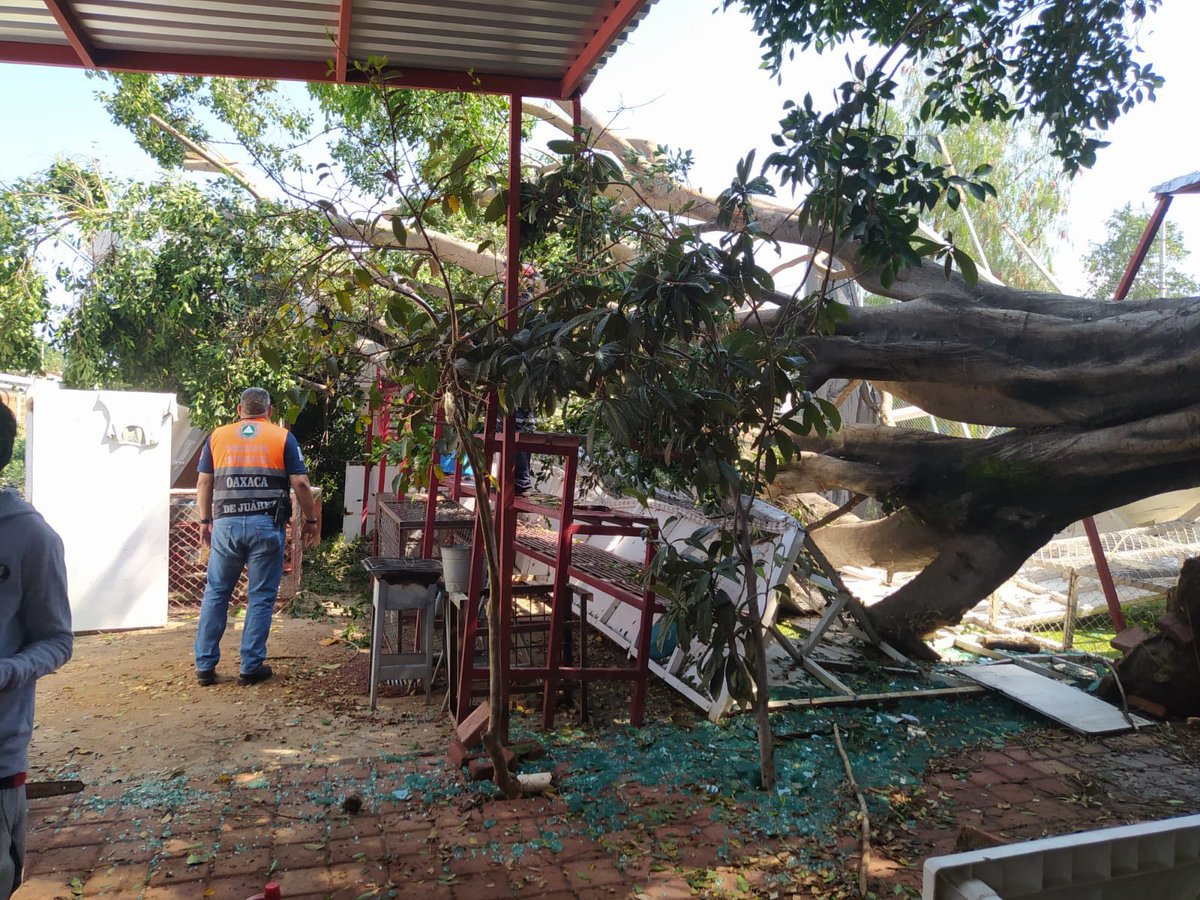 ADN Sureste tweet media