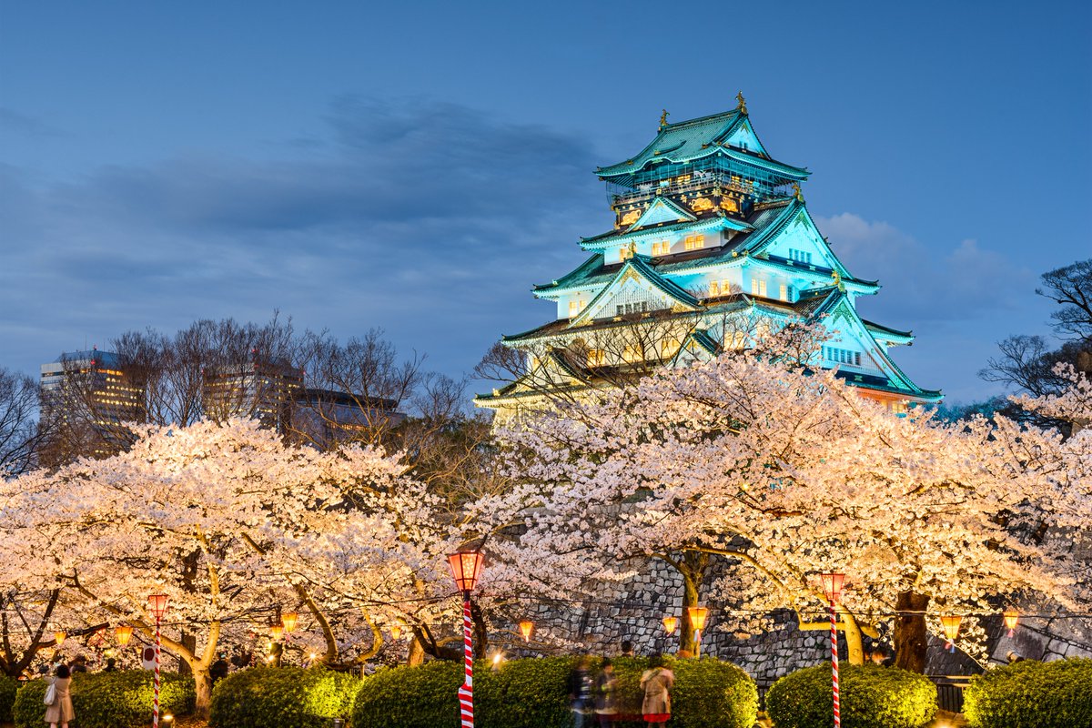 Do you have a favorite castle in Japan? 🏯
According to a recent survey, the top 3 castles loved by Americans are:

1st: Osaka Castle
2nd: Nijo Castle
3rd: Himeji Castle

Night cherry blossoms with Osaka Castle 🌸🏯✨