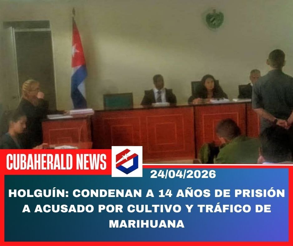 CubaHerald's tweet image. Holguín: condenan a 14 años de prisión a acusado por cultivo y tráfico. CUBA #crisis #holguin cubaherald.org/holguin-conden…