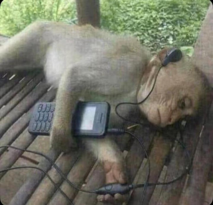 Simon Tido tweet media